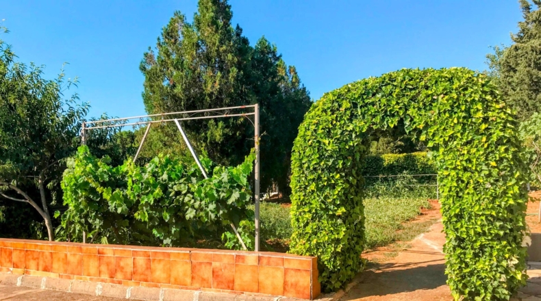 Badajoz - Badajoz - 1250m2