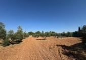 Country house with land for sale in Valdepeñas ref: TR415338 photo