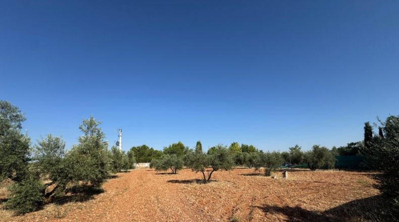 Ciudad Real - Tomelloso - 258m2