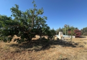 Country house with land for sale in Valdepeñas ref: TR415338 photo