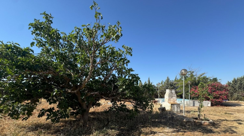 Ciudad Real - Tomelloso - 258m2