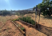Country house with land for sale in Valdepeñas ref: TR415338 photo