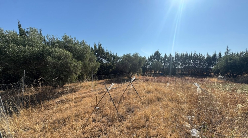 Ciudad Real - Tomelloso - 258m2