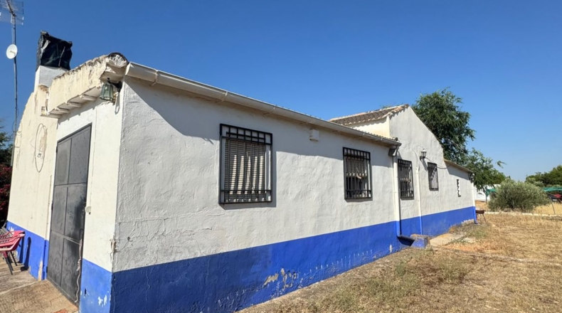 Ciudad Real - Tomelloso - 258m2