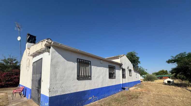 Ciudad Real - Tomelloso - 258m2