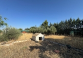Country house with land for sale in Valdepeñas ref: TR415338 photo