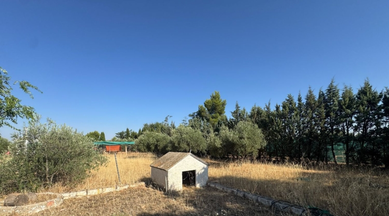 Ciudad Real - Tomelloso - 258m2