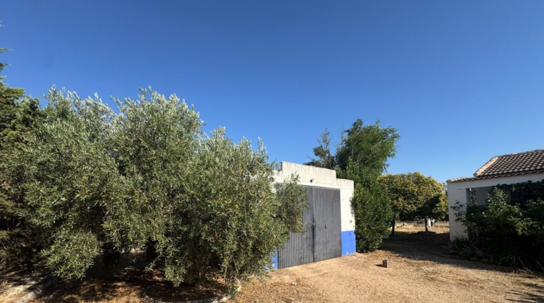 Ciudad Real - Tomelloso - 258m2