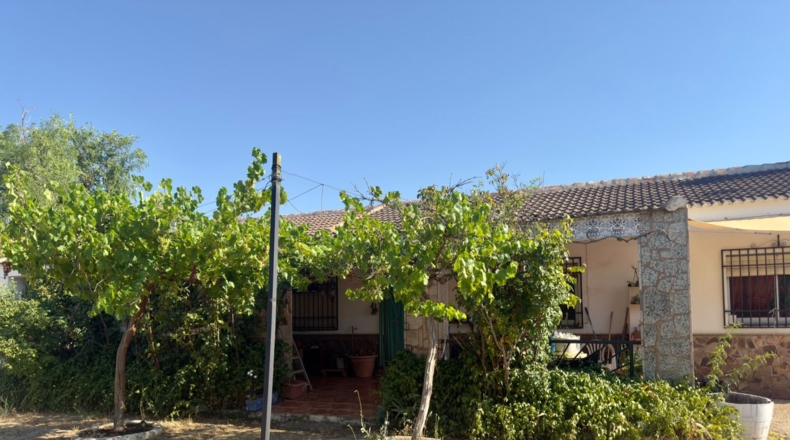 Ciudad Real - Tomelloso - 258m2