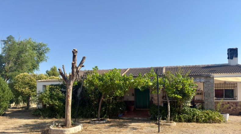 Ciudad Real - Tomelloso - 258m2