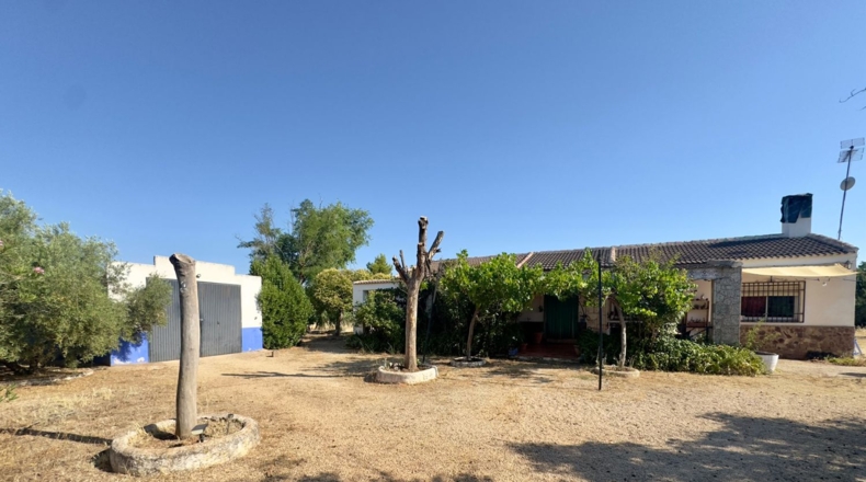 Ciudad Real - Tomelloso - 258m2