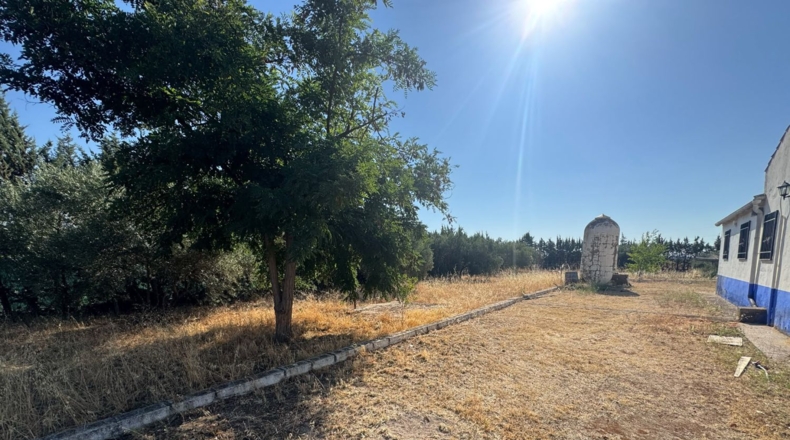 Ciudad Real - Tomelloso - 258m2