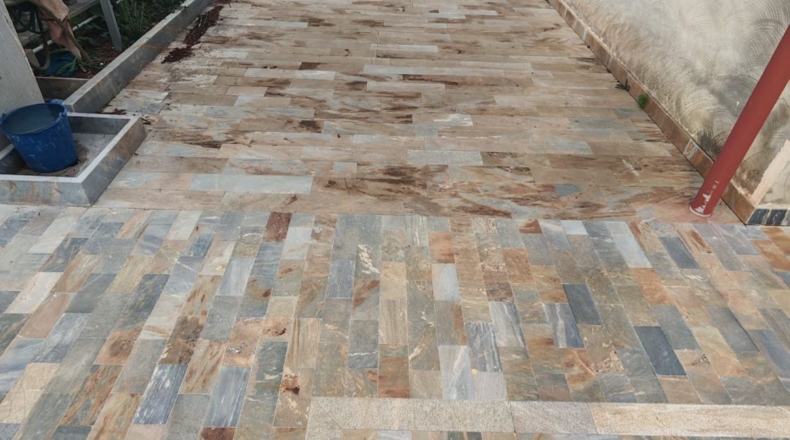 Murcia - Murcia - 6200m2