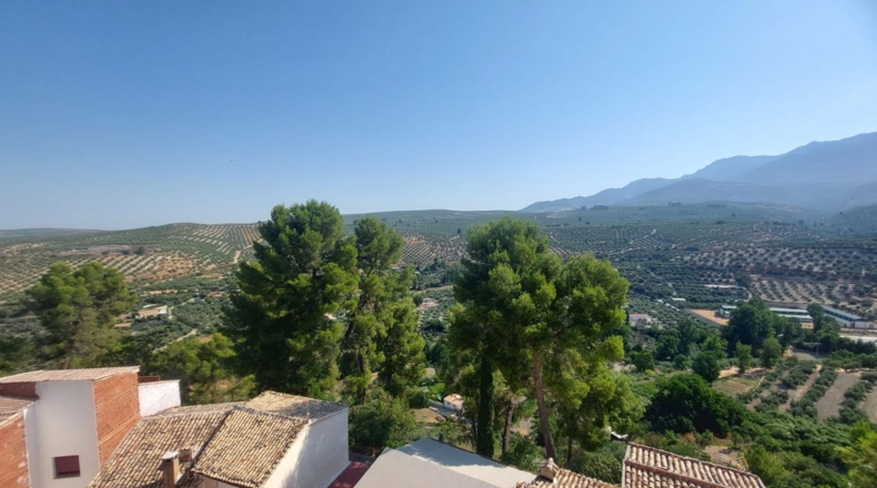 Jaén - Quesada - 336m2