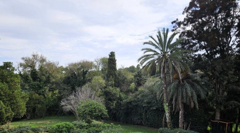 Кадис - San Roque - 150m2