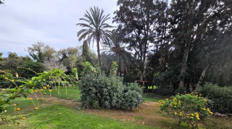 Кадис - San Roque - 150m2
