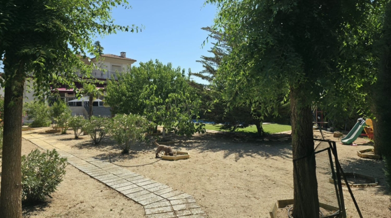 Ciudad Real - Valdepeñas - 1091m2