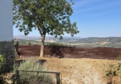 Chalet independiente con terreno en venta en Ronda ref: TR416387 foto