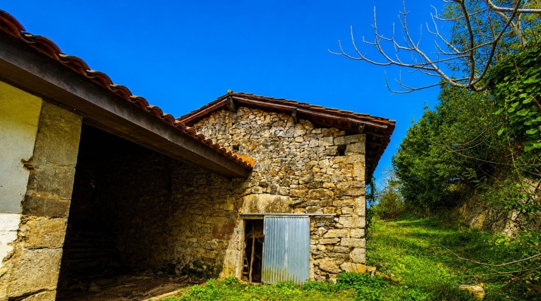 Asturias - Grado - 147835m2