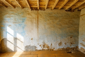 Grado 147835&nbsp;m²