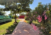 Chalet independiente con terreno en venta en Albacete ref: TR416392 foto