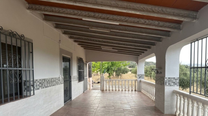 Cuenca - Sisante - 6000m2