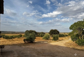 Sisante 6000&nbsp;m² 