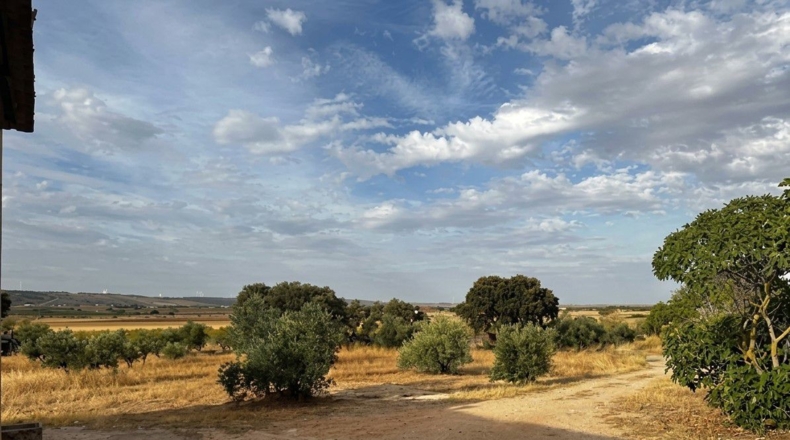 Cuenca - Sisante - 6000m2