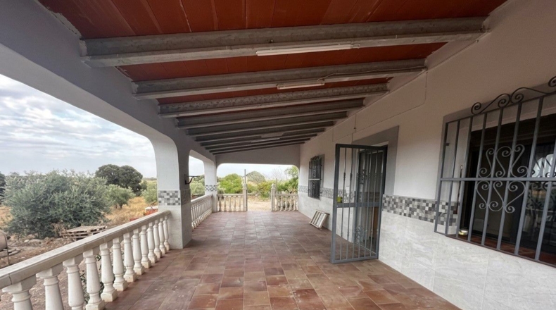 Cuenca - Sisante - 6000m2