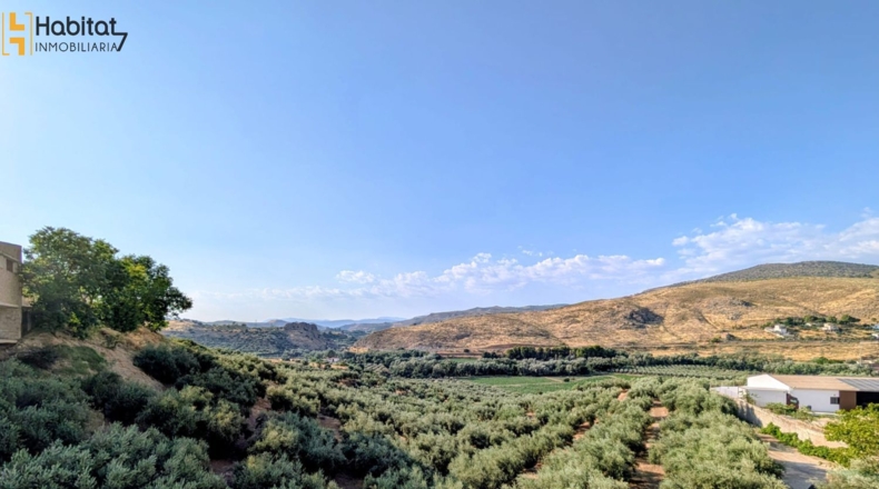 Granada - Loja - 451m2