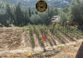 Xalet independent amb terreny en venda a Jaén ref.: TR416399 foto