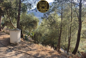 Jaén 4000&nbsp;m² 
