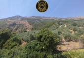 Casa de pueblo en venta en La Guardia de Jaén ref: TR416400 foto