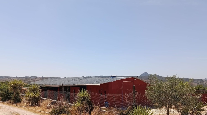 Alicante - Oriola - 5300m2