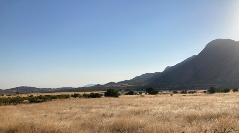 Alicante - Oriola - 5300m2