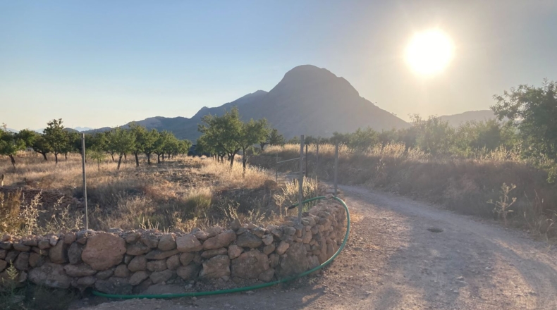 Alicante - Oriola - 5300m2
