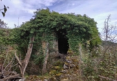 Finca rústica en venta en Aínsa ref: TR416408 foto