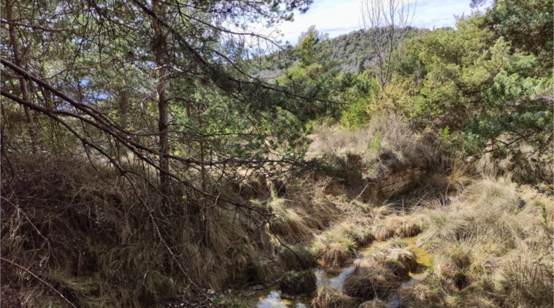 Huesca - Aínsa - 68000m2