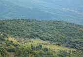 Finca rústica en venta en Aínsa ref: TR416408 foto