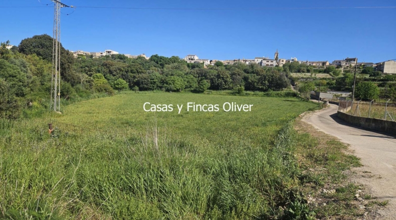 Illes Balears - Llubí - 9434m2