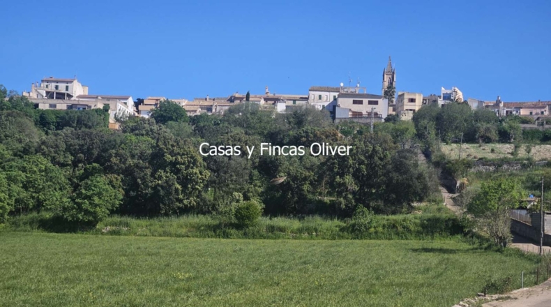 Illes Balears - Llubí - 9434m2