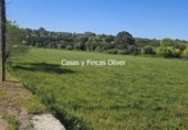 Terreno no urbanizable en venta en la España, Llubí, ref: TR232711 foto