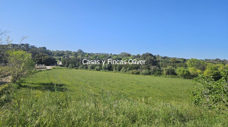 Illes Balears - Llubí - 9434m2