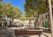 Terreno no urbanizable en venta en la España, Llubí, ref: TR232711 foto