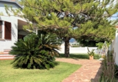Chalet independiente con terreno en venta en Benicasim ref: TR416413 foto