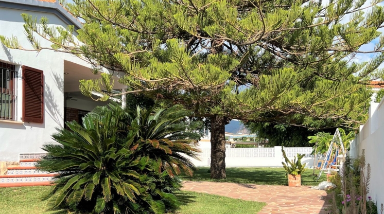 Castellón - Benicasim - 994m2