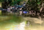 Finca rústica en venda a la FINCA EL PARAÍSO, Huesa, ref.: TR106564 foto
