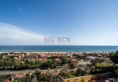 Chalet independiente con terreno en alquiler en la España, Castelldefels, ref: TR315473 foto