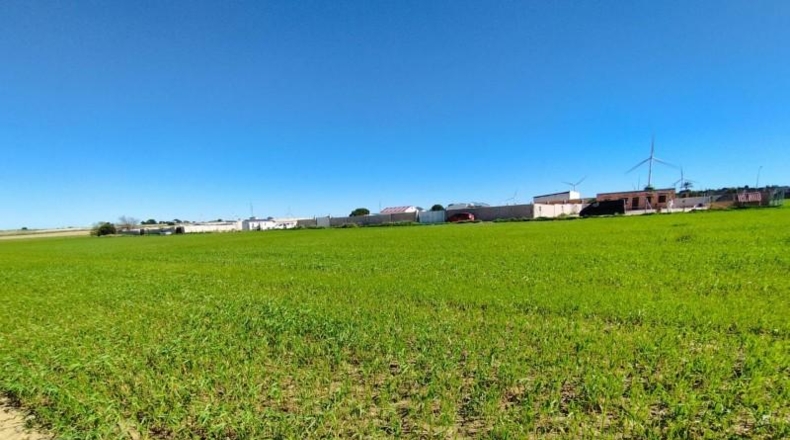 Кадис - Puerto Real - 1000m2