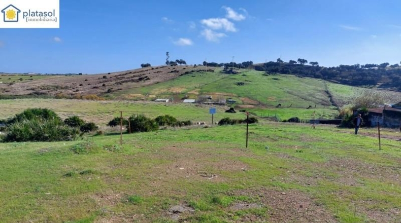 Seville - El Garrobo - 295m2